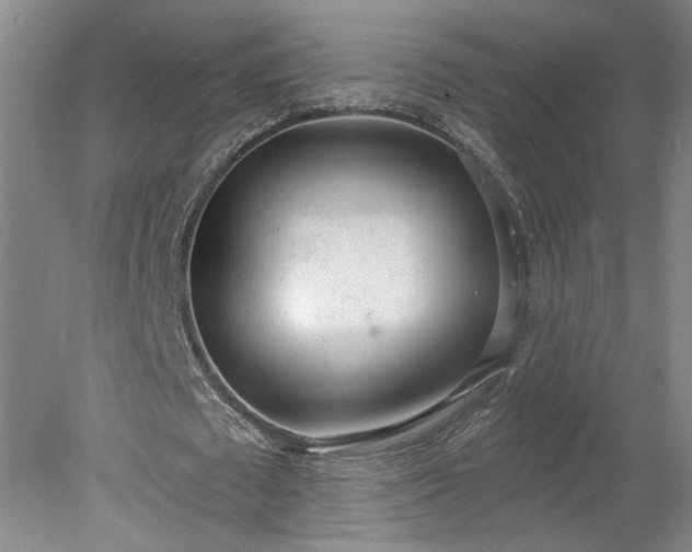 X0000078270673200611101108