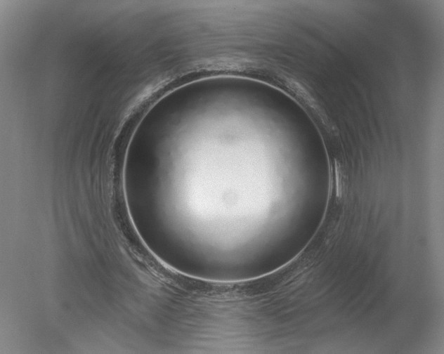 X0000078270675200611101108