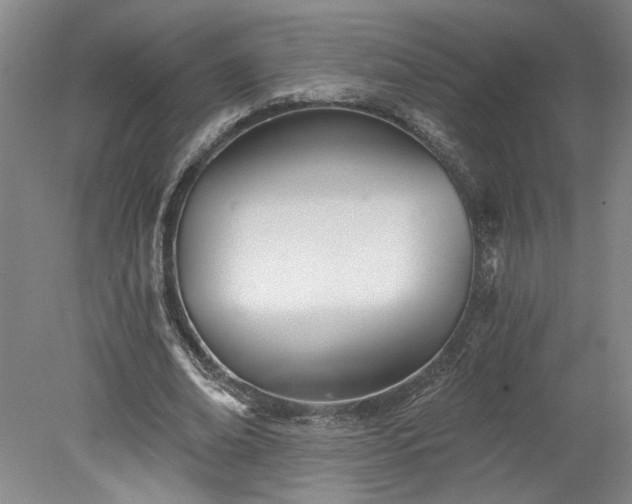 X0000078270678200611101108