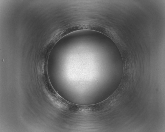 X0000078270694200611101108