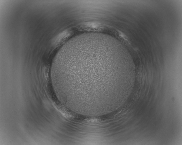 X0000078270695200611101108