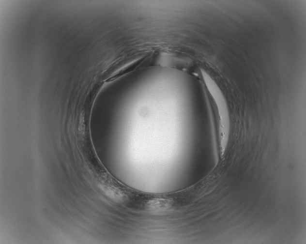 X0000078270700200611101108