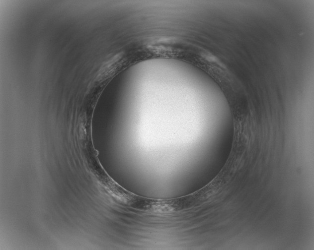 X0000078270702200611101108