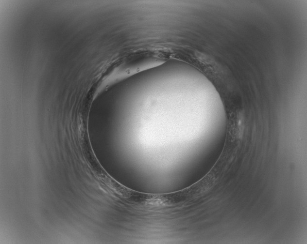 X0000078270704200611101108