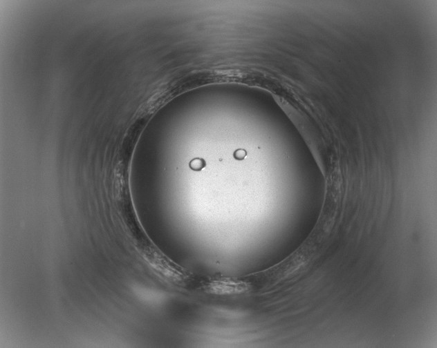 X0000078270707200611101108