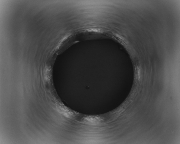 X0000078270712200611101108