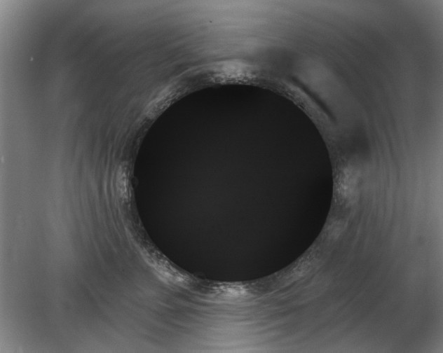 X0000078270715200611101107