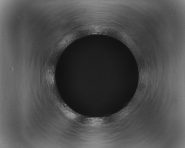 X0000078270719200611101107