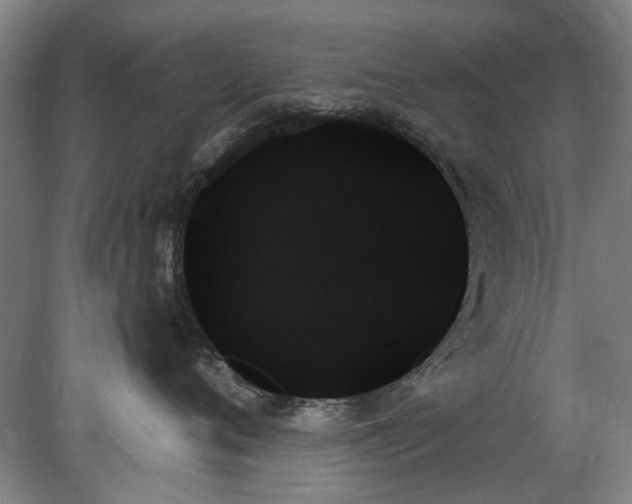 X0000078270720200611101107