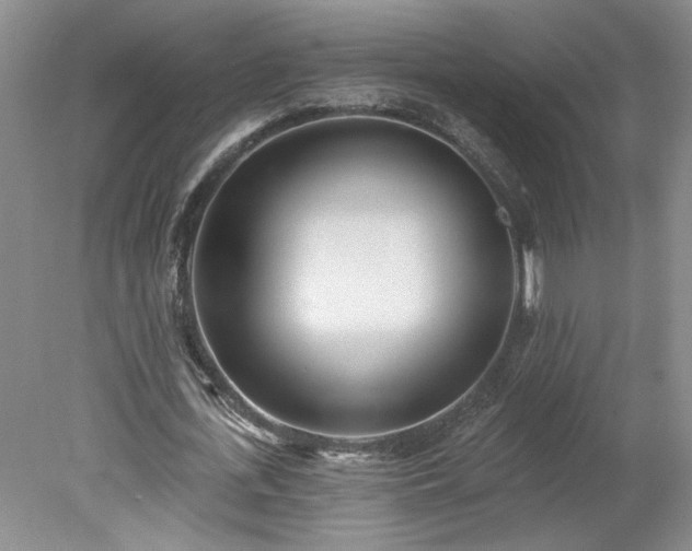 X0000078270723200611101107