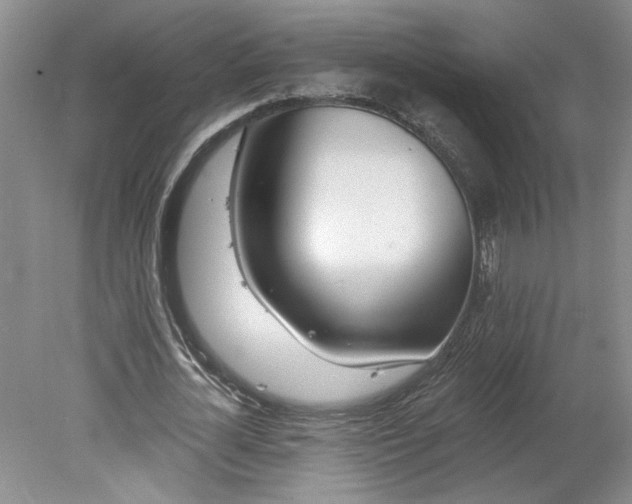 X0000078270724200611101107