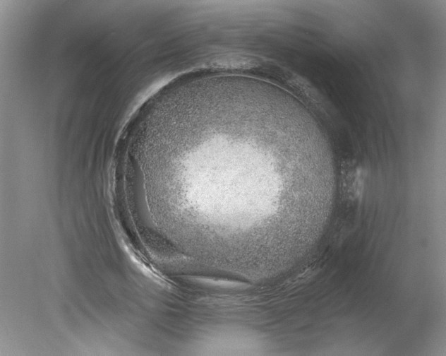 X0000078270726200611101107