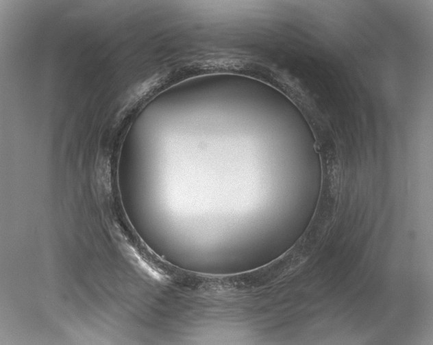 X0000078270729200611101107