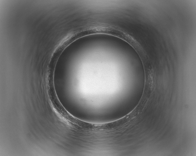 X0000078270730200611101107