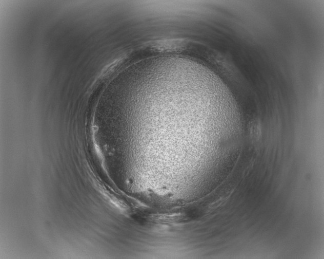 X0000078270733200611101107