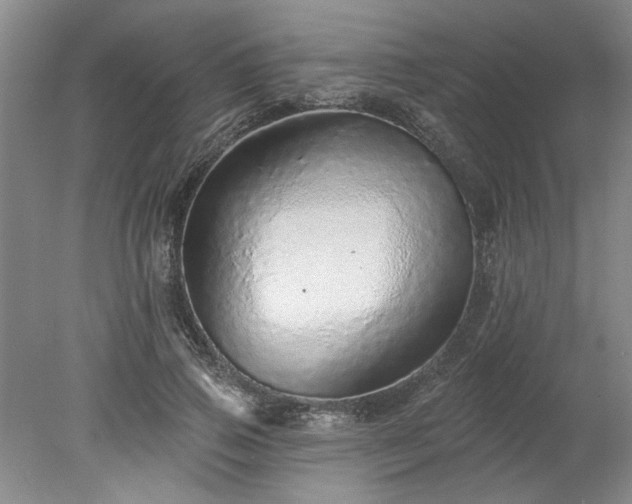 X0000078270741200611101107