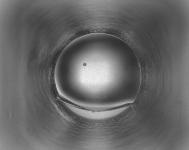 X0000078270742200611101107