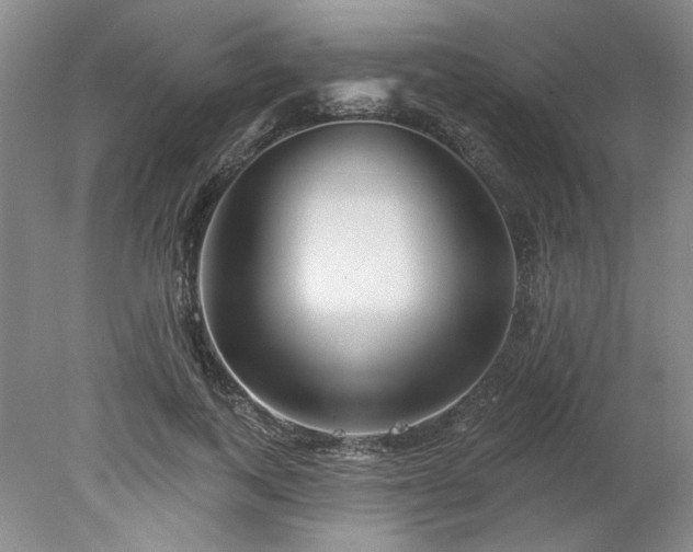 X0000078270743200611101107