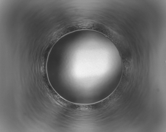 X0000078270745200611101107