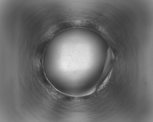X0000078270746200611101107