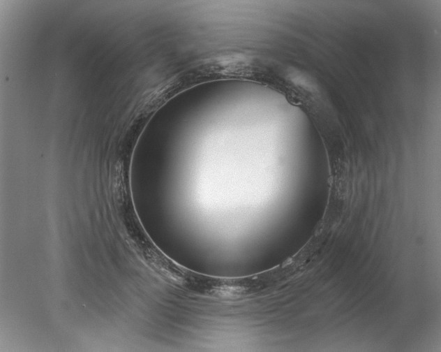X0000078270748200611101107