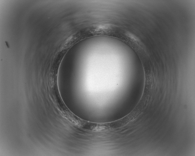X0000078270751200611101107