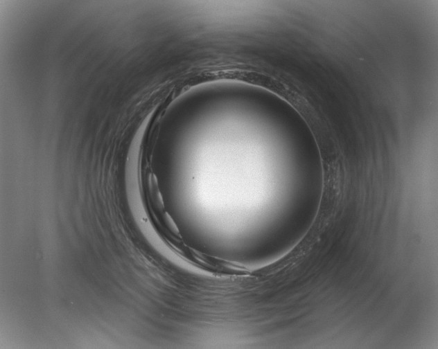 X0000078270754200611101107