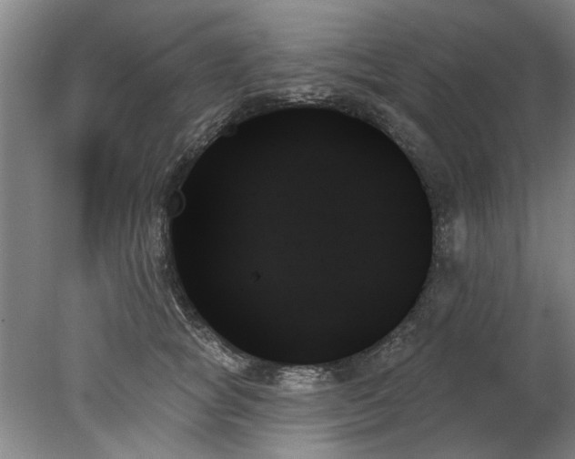 X0000078270757200611101107