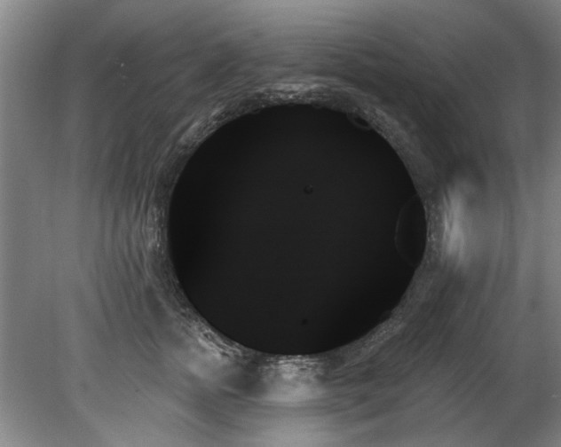 X0000078270758200611101107