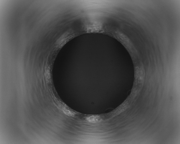 X0000078270761200611101107