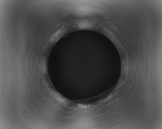X0000078270762200611101107