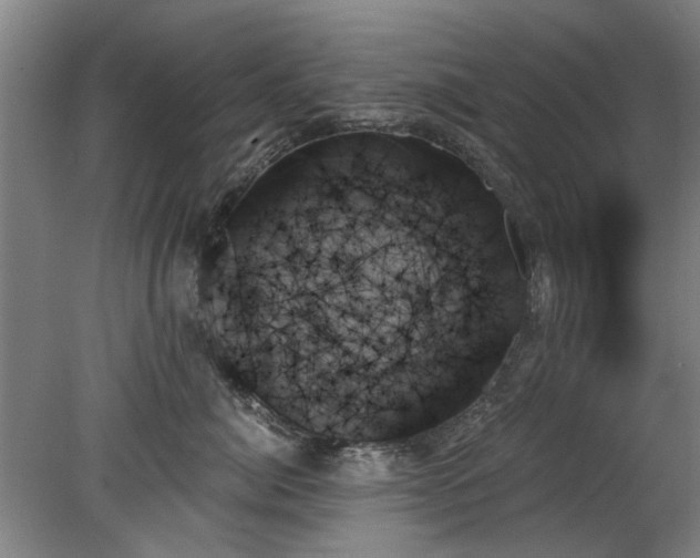X0000078270764200611101107
