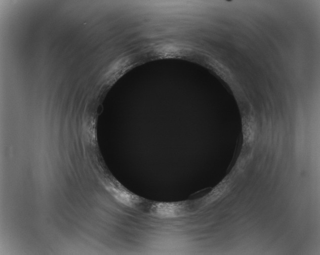 X0000078270766200611101107