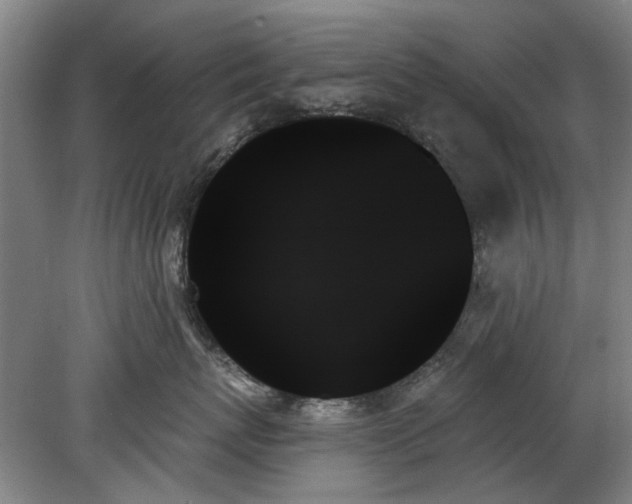 X0000078270767200611101107