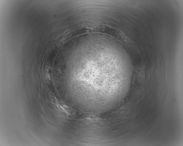 X0000078270770200611101107