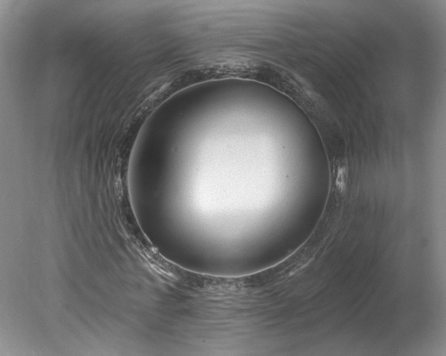 X0000078270771200611101107