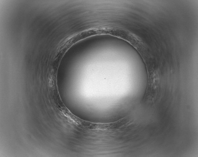 X0000078270773200611101106