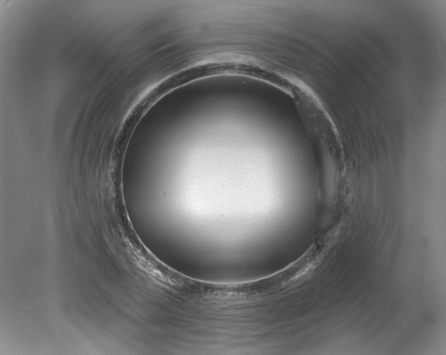 X0000078270783200611101106