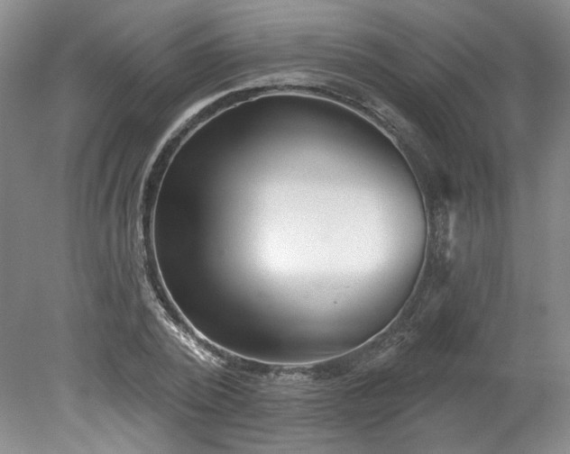 X0000078270784200611101106