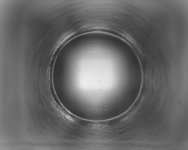 X0000078270790200611101106