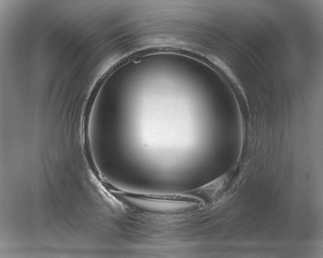 X0000078270791200611101106