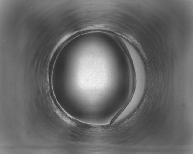 X0000078270792200611101106