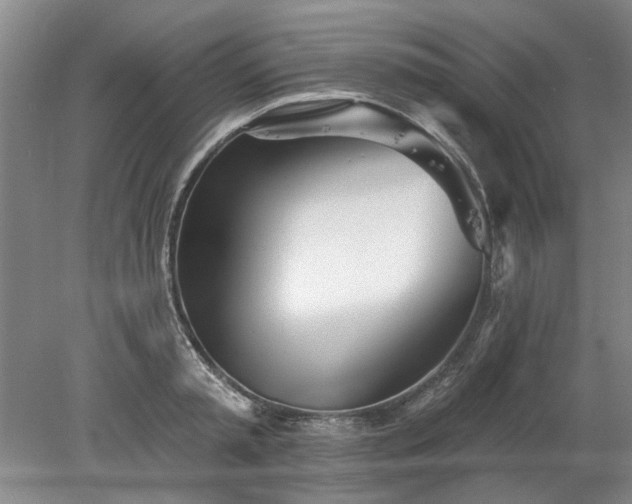 X0000078270797200611101106