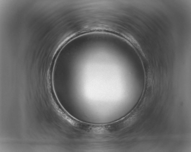 X0000078270798200611101106