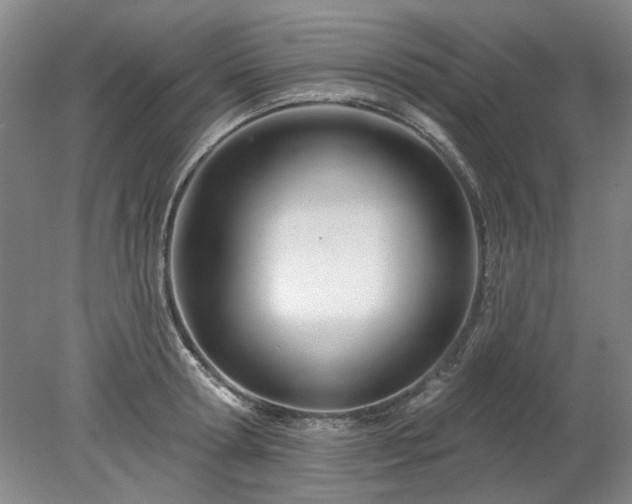 X0000078270802200611101106