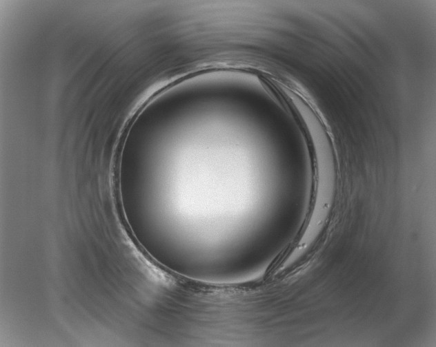 X0000078270803200611101106