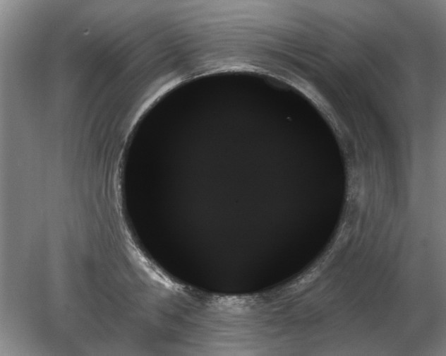 X0000078270806200611101106