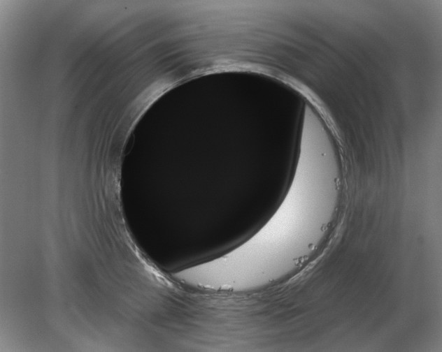 X0000078270809200611101106