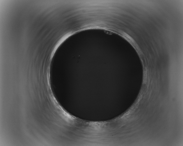 X0000078270812200611101106