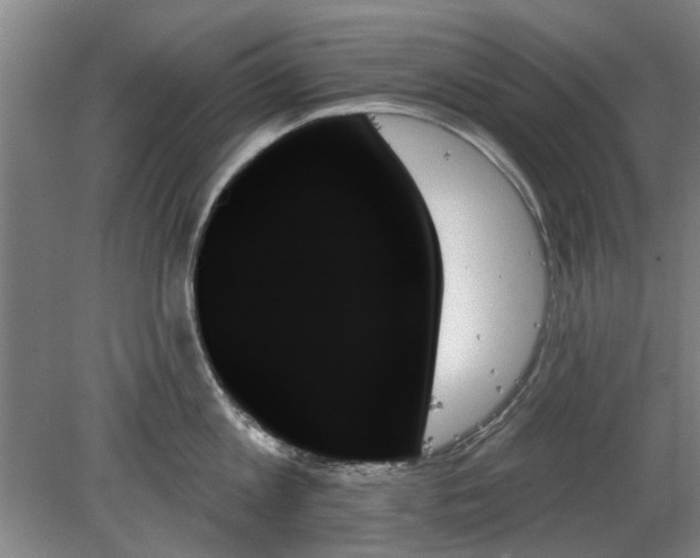 X0000078270813200611101106